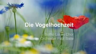 Vogelhochzeit. Ein Vogel wollte Hochzeit machen, Fidirallala. Mit Text. Biste (HD 1080p)