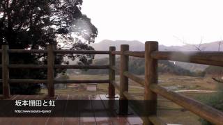 preview picture of video 'Sakamoto Tanada/三重県亀山市安坂山町坂本棚田　2011年11月'