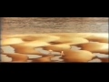 Село Бучак. Голливуд над Днепром 