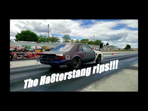 The evil eagle hates me, But the 4G63 foxbody mustang "haterstang" is ripping!!