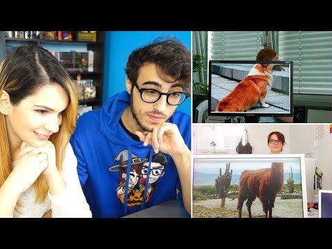 LE PERSONE CON I MIGLIORI SFONDI DEL DEKSTOP! - Foto Divertenti