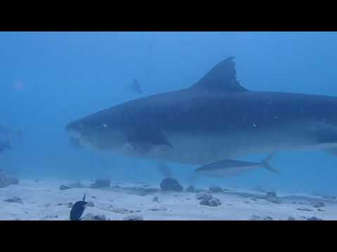 フヴァンムラの位置図。