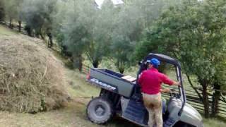 preview picture of video 'Polaris Ranger XP 700 -Ghimes, Romania'