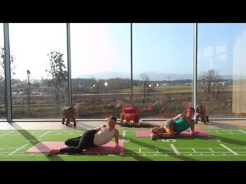 YOGA "STRENGTHEN AND LENGTHEN YOUR SIDE BODY" mit Sophia & Stephanie - ONLINE YOGA - ONLINE KURSE