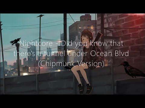 Nightcore - Did you know that there's a tunnel under Ocean Blvd (Chipmunk Version)
