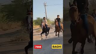 Download lagu is race ki link Description box me hai,, my chanel         horse lovers mp3 Download lagu is race ki link Description box me hai,, my chanel         horse lovers mp3