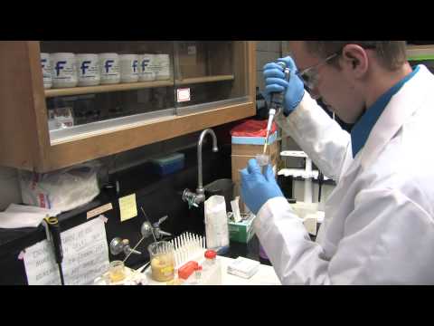 Release A Medical Breakthrough