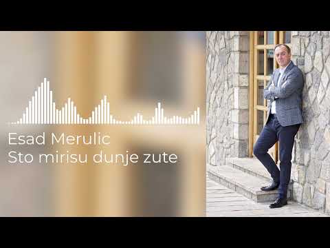 ESAD MERULIC - STO MIRISU DUNJE ZUTE (OFFICIAL AUDIO)
