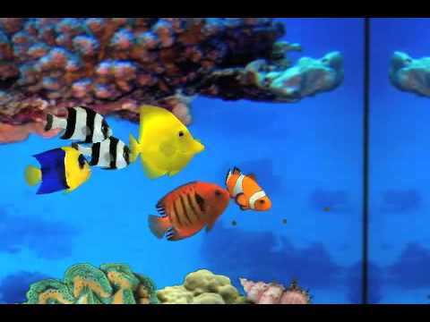 MyReef 3D Aquarium IOS