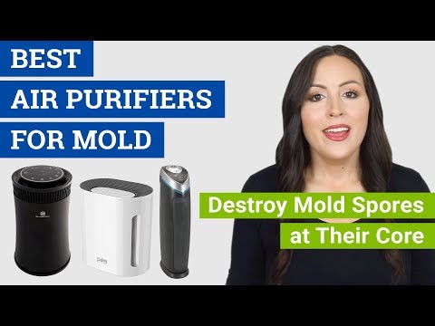 download lagu mp3 mp4 Air Purifier For Mold Spores, download lagu Air Purifier For Mold Spores gratis, unduh video klip Air Purifier For Mold Spores