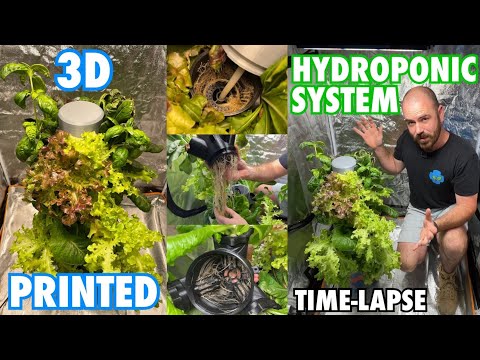 3D Printed Hydroponic System Setup & Time-Lapse Grow