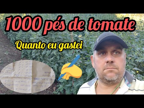 , title : '1000 pés de tomate 🍅 quanto eu gastei?? (para iniciantes)'
