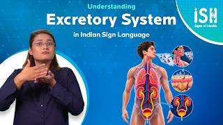 Know Your Excretory System | Signs of Health
