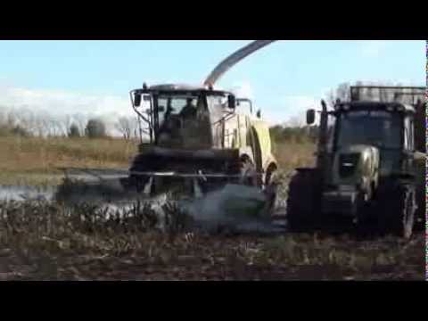 LOONWERKEN LIDOU mais hakselen