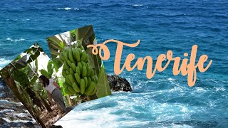 TENERIFE - Bananas plantation, Costa del Silencio & Playa de las Vistas