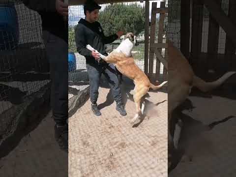 Vídeo de MR PARK