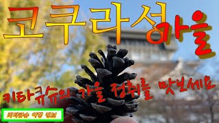 【고쿠라성 가을・기타큐슈 여행】기타큐슈의 가을 정취를 맛보세요【小倉城の秋・北九州観光】北九州の秋の風情を味わおう
