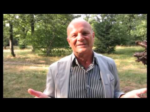 Sinn und Zweck des Zauberns