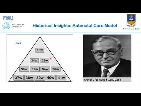 Turning the Pyramid of Care- Dr C Verenga