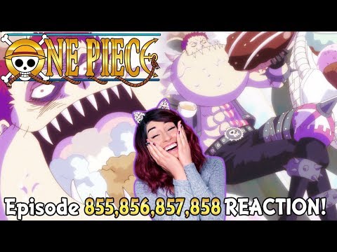 Download One Piece Episode 856 3gp Mp4 Codedwap Download One Piece Episode 856 3gp Mp4 Codedwap