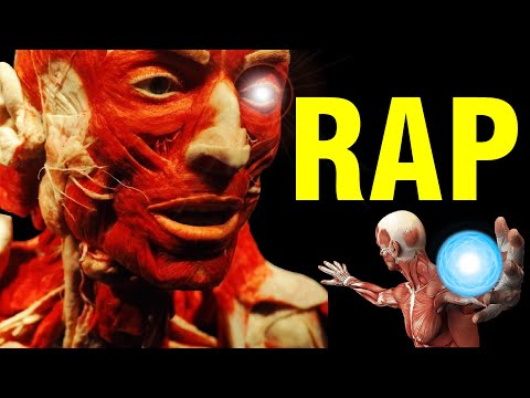 RAP de ANATOMÍA | APRENDE Los MÚSCULOS del CUERPO HUMANO Rapeando | Rap de TODOS Los Músculos
