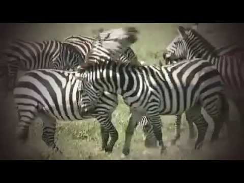 Besoin d'une médiation bancaire ? Les clés de la banque, les clips de Max