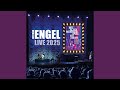 Ich werd dich begleiten (Live)