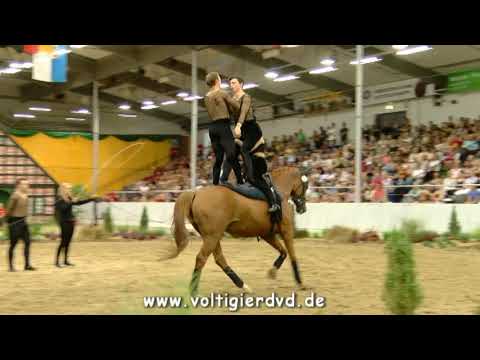 Fredenbeck I - Team 15 - DMV Verden 2017