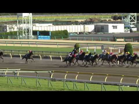 フェブラリーS　モーニン