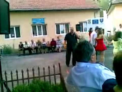 Petrica Moise - ruga 2