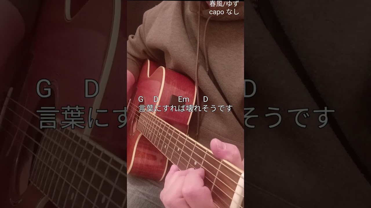 【春風/ゆず】4つの簡単コードにアレンジして弾き語り！ #春風 #ゆず #弾き語り #弾き語り好きな人と繋がりたい #ギター