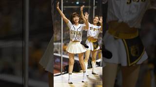 チャンテではじける峮峮 #ちゅんちゅん #チュンチュン #台湾チア #cheerleader #치어리더  臺北大巨蛋 2024/6/15【台湾チアTV】