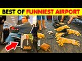 The Best Of Funniest Photos Taken At Airports DEFAULT Thumbnail