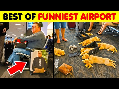 The Best Of Funniest Photos Taken At Airports