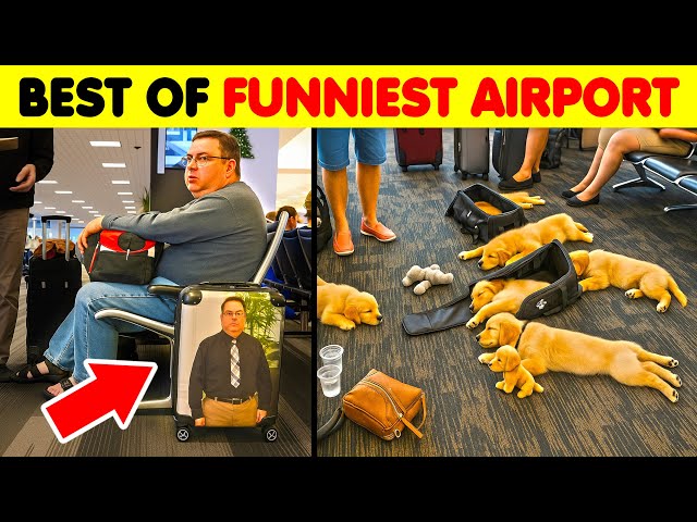 The Best Of Funniest Photos Taken At Airports SDDEFAULT Thumbnail