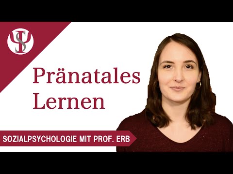Pränatales Lernen | Psychologie mit Prof. Erb