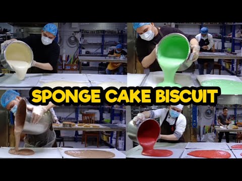 THE MAKING of Vanilla, Red Velvet, Chocolate, Pistachio and Joconde | SPONGE CAKE BISCUIT