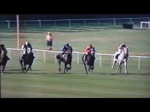 Nagroda Próbna - 8.06.2003 - Check In (Chndaka - Suhad)