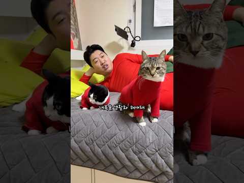 빨간 내복 입은 고양이