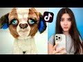 Reacting To CRAZY Beanie Boo Tik Toks