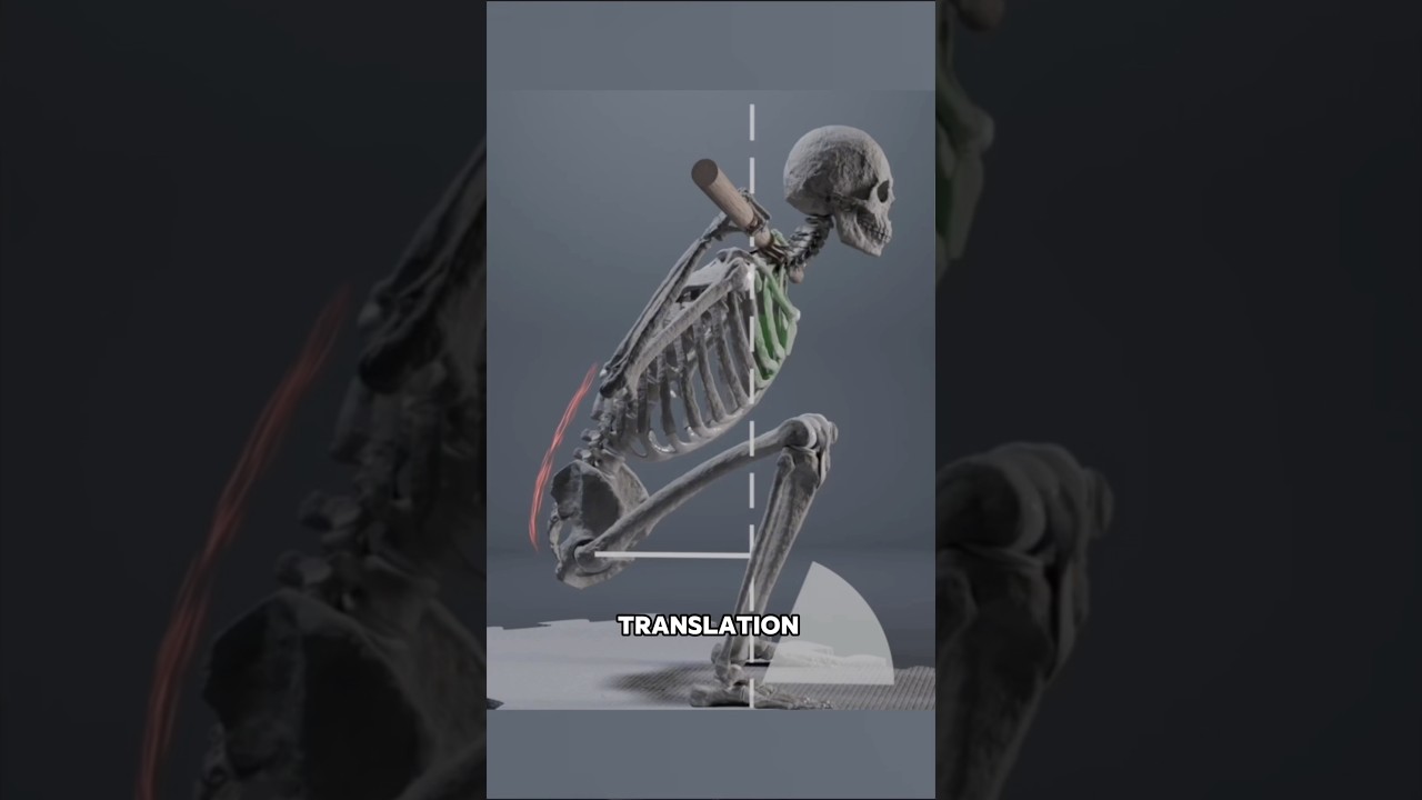 The TRUTH About Butt Wink!🤯 - YouTube