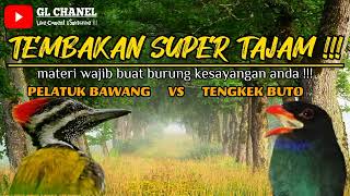 Download lagu Masteran Kombinasi‼️ PELATUK BAWANG VS TENGKEK BUTO Tembakan Super Tajam Jernih Mudah Ditiru Burung mp3