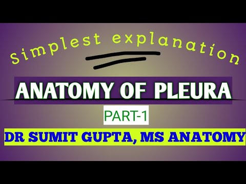 ANATOMY OF PLEURA : Part 1/2