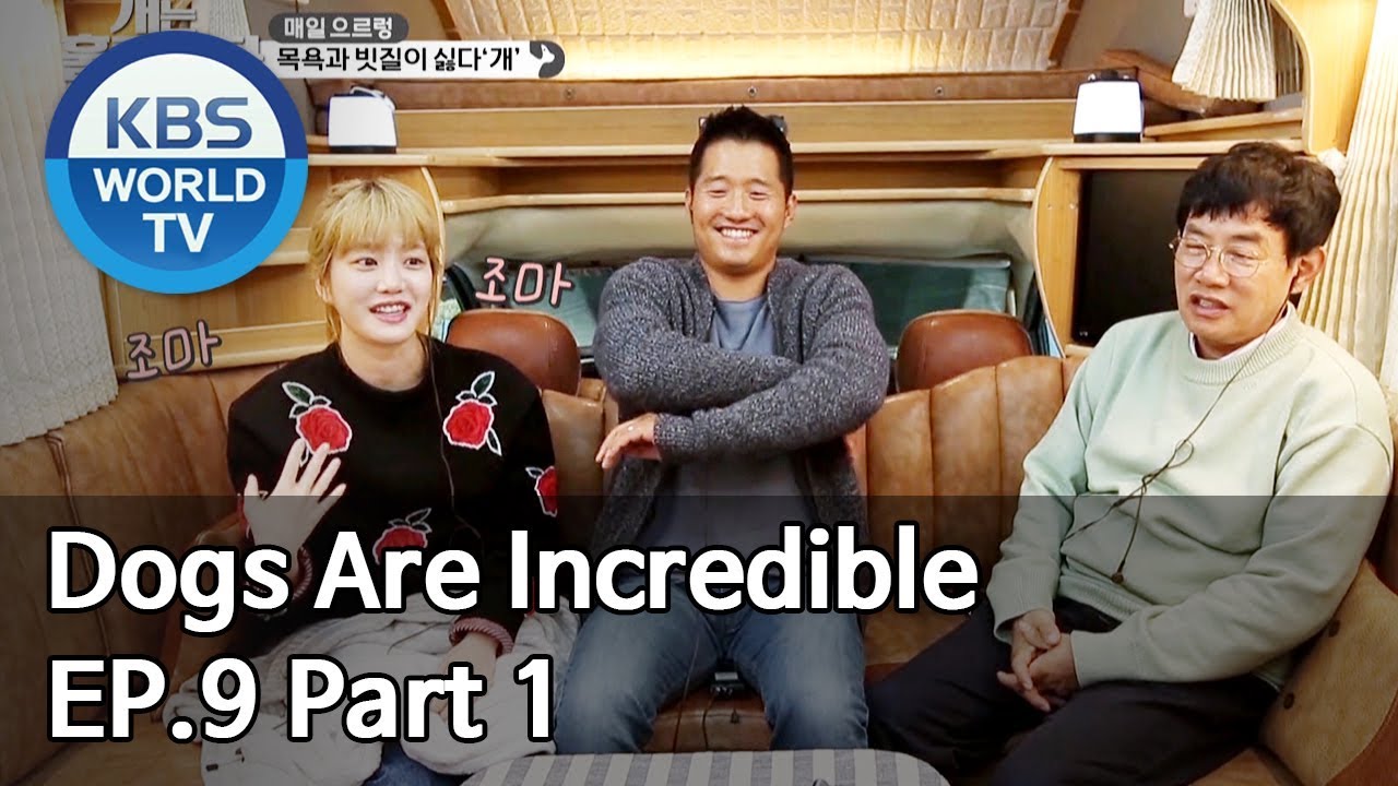 Dogs are incredible | 개는 훌륭하다 EP.9 Part 1 [SUB : ENG/2020.01.21]