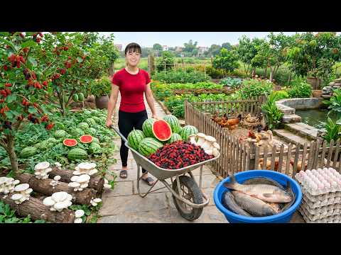Harvesting Mulberries, Watermelons, Mushrooms, Duck Eggs & Big Fish to Sell at Countryside Market