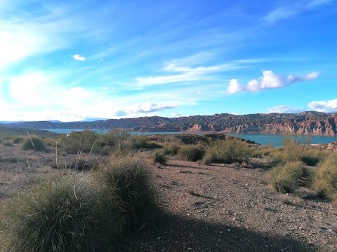 video image