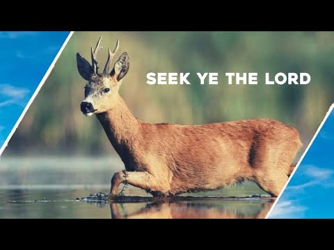 Seek ye the LORD / Hugo Talks