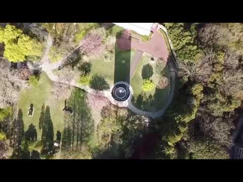 彫刻の森美術館