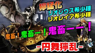 【MHXX/NS】回避道・ギルド太刀で獰猛化金銀火竜二頭討伐【-円舞獰乱-】