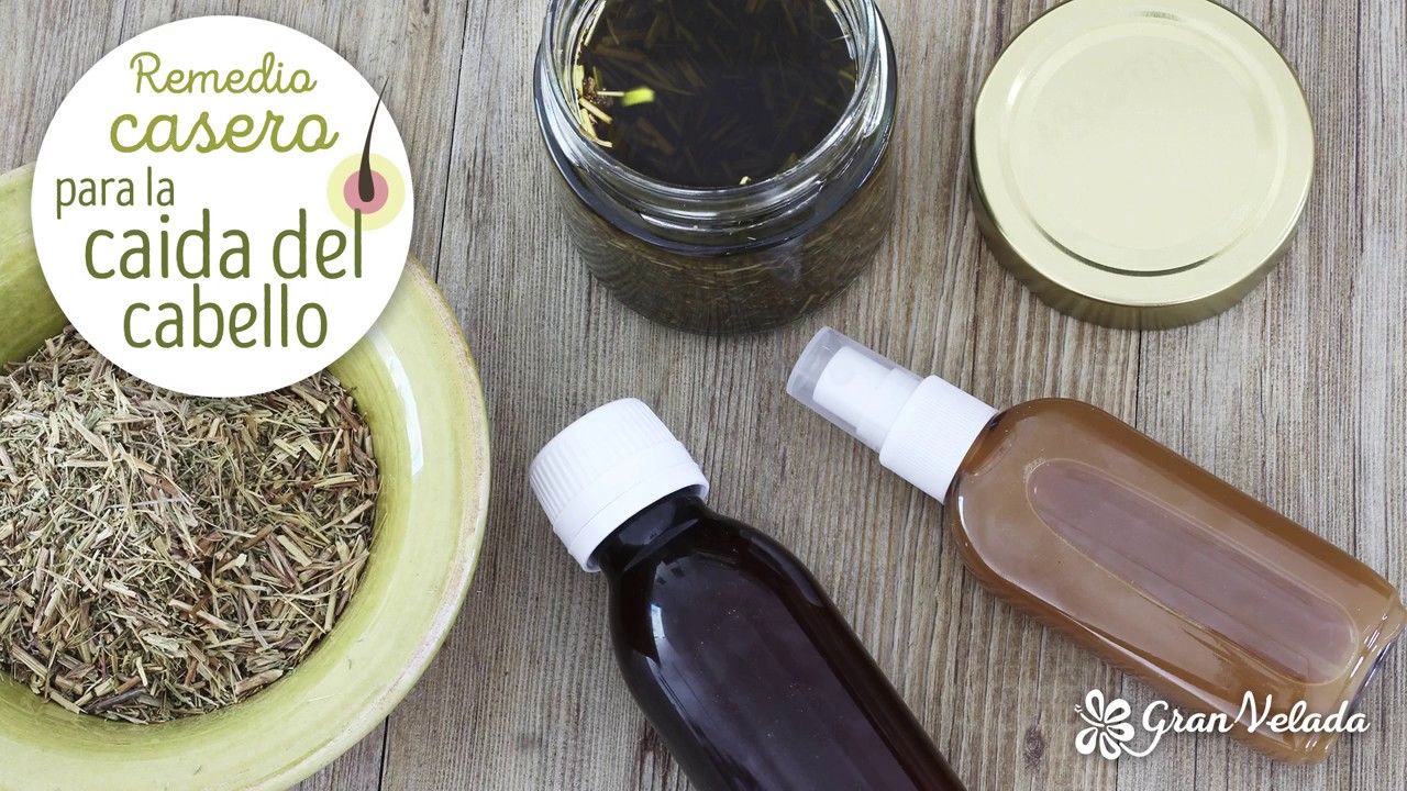 Abrotano macho para la caida del cabello